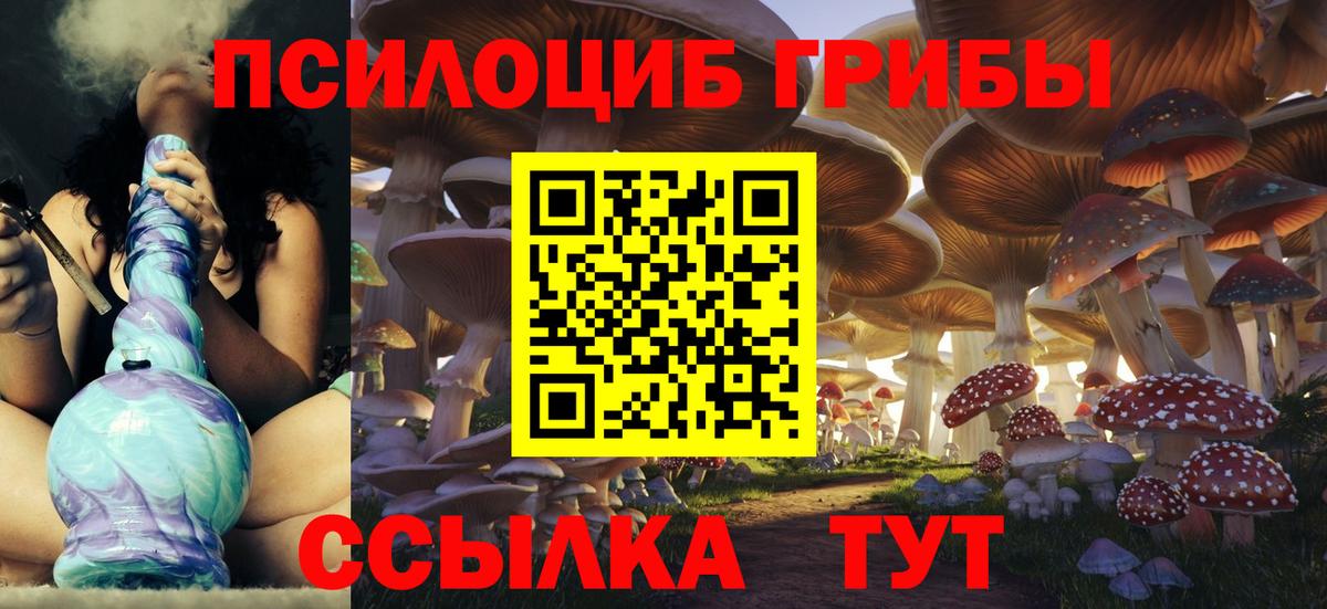 Псилоцибиновые грибы мицелий  Вход с VPN  Галлюциногенные грибы Cubensis  закладка  Тайшет 