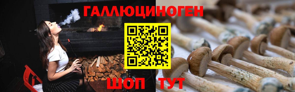 Галлюциногенные грибы MAGIC MUSHROOMS Тайшет